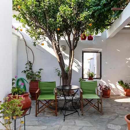 בית הארחה Traditional House